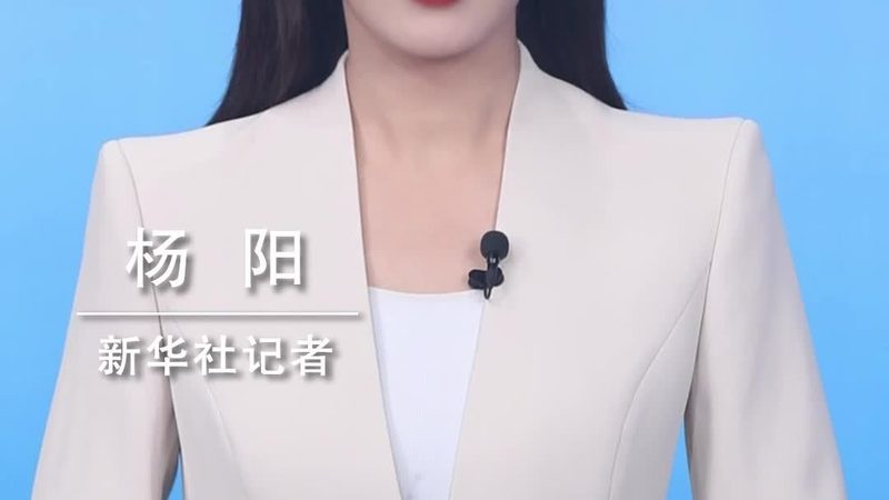 金融大数据分析系统定制：揭秘其核心价值与选型要点**