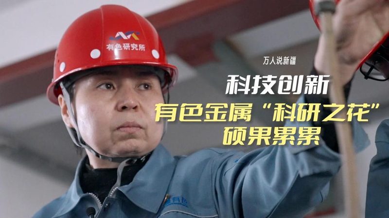 保险行业数据治理：构建高效、合规的数据管理新范式**
